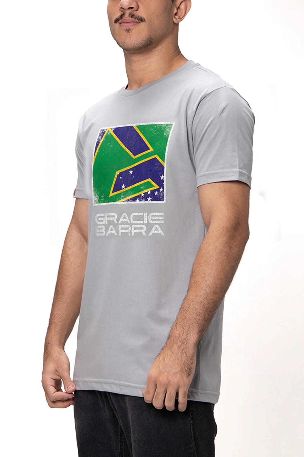 Camiseta Legado BRA V3 - Cinza